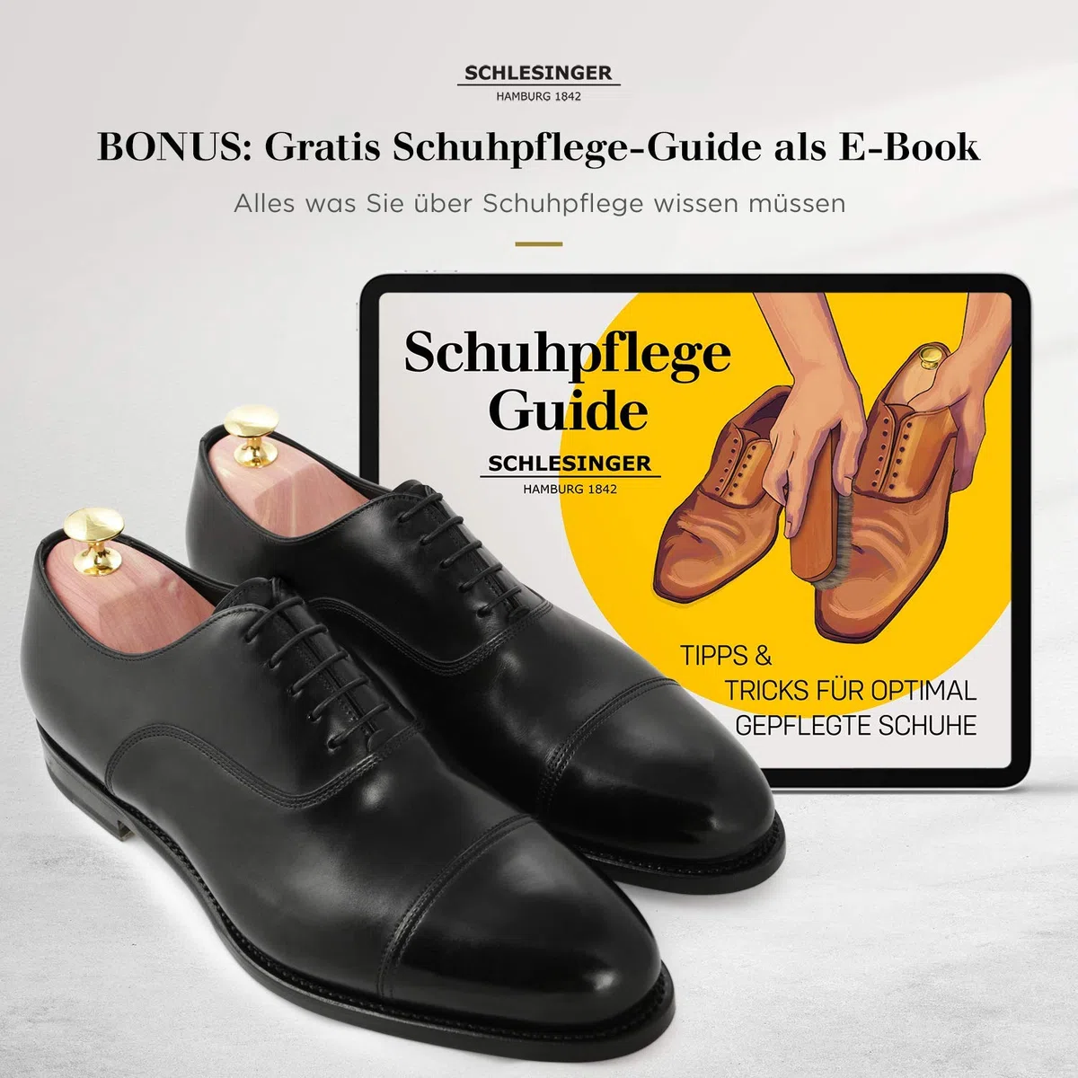 Schlesinger - TESTSIEGER - Premium Herren Schuhspanner aus edlem Zedernholz für eine optimale Schuhpflege - Modell Kaiser - Inklusive Gratis Schuhpflege E-Book