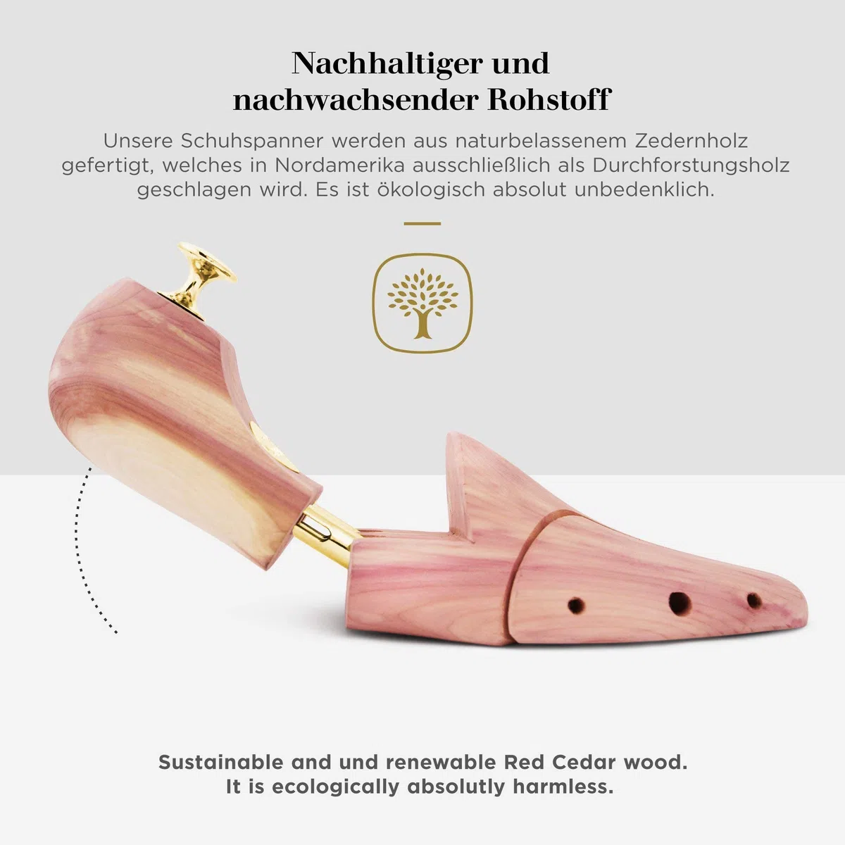 Schlesinger - TESTSIEGER - Premium Herren Schuhspanner aus edlem Zedernholz für eine optimale Schuhpflege - Modell Kaiser - Inklusive Gratis Schuhpflege E-Book