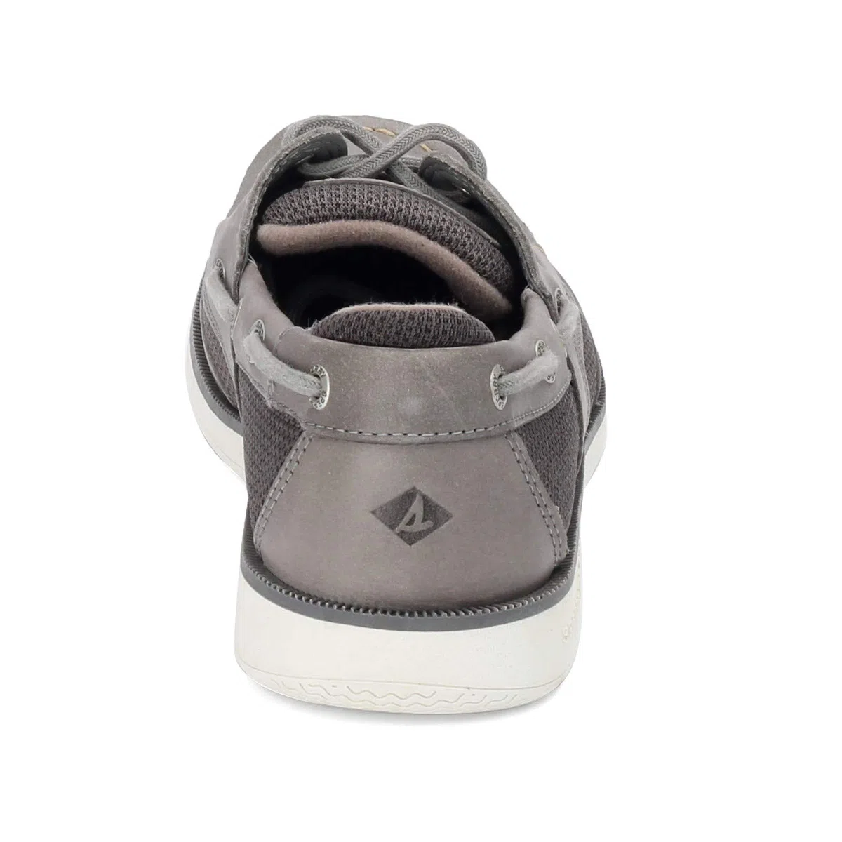 Sperry Surveyor 2-Eye