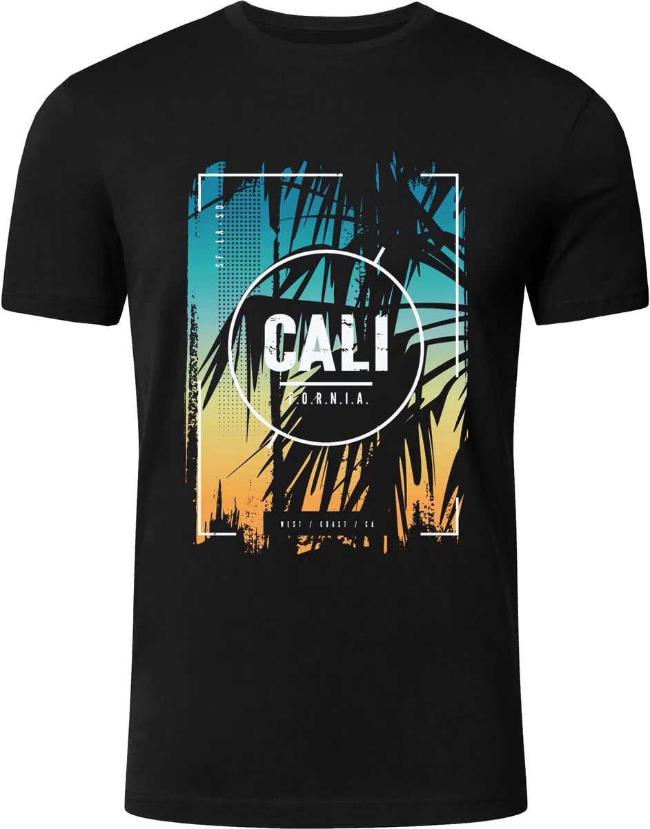 FULL TIME SPORTS Herren T-Shirt 4er Pack, 100% Baumwolle, Kurzarm, Rundhals, Bedruckt PRINT-003
